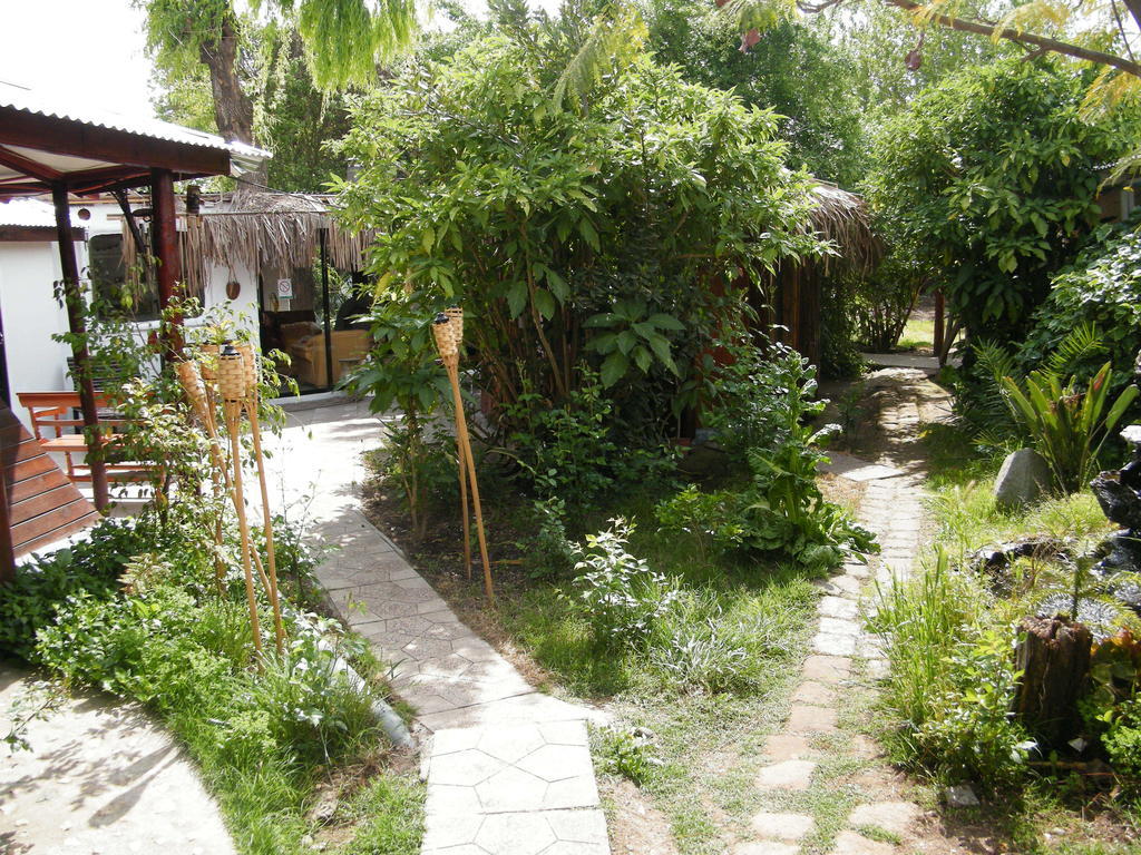 Hostal Vida 2000 Santa Cruz Phòng bức ảnh